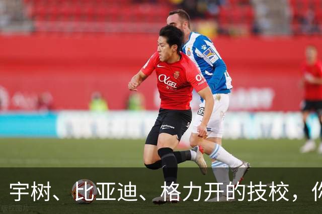 宇树、比亚迪、格力开的技校，你会让孩子去吗？